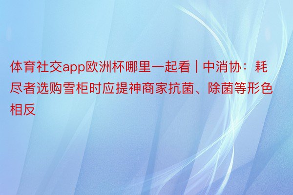 体育社交app欧洲杯哪里一起看 | 中消协：耗尽者选购雪柜时应提神商家抗菌、除菌等形色相反