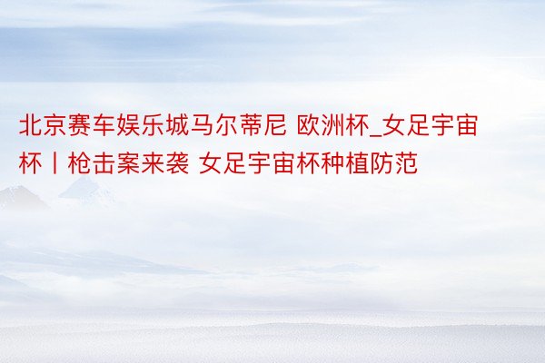 北京赛车娱乐城马尔蒂尼 欧洲杯_女足宇宙杯丨枪击案来袭 女足宇宙杯种植防范