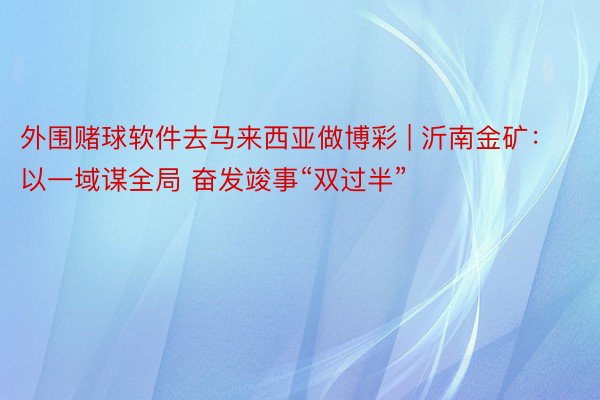 外围赌球软件去马来西亚做博彩 | 沂南金矿：以一域谋全局 奋发竣事“双过半”