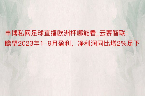 申博私网足球直播欧洲杯哪能看_云赛智联：瞻望2023年1-9月盈利，净利润同比增2%足下