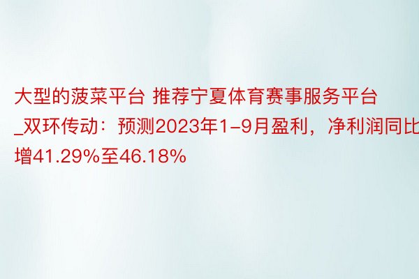 大型的菠菜平台 推荐宁夏体育赛事服务平台_双环传动：预测2023年1-9月盈利，净利润同比增41.29%至46.18%