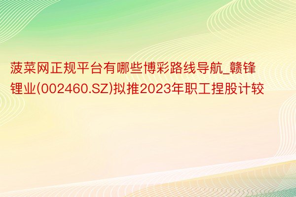 菠菜网正规平台有哪些博彩路线导航_赣锋锂业(002460.SZ)拟推2023年职工捏股计较